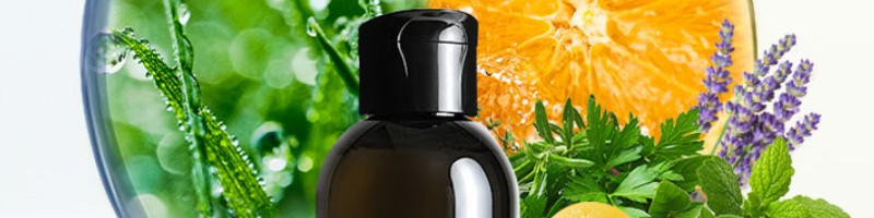 �I�[���C�������X�J���v�V�����v�[�@ZIGEN���T�C�g